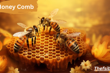 honey comb