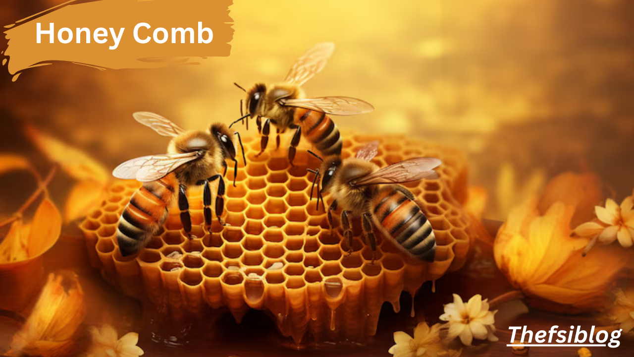 honey comb