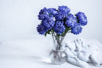 dried hydrangeas