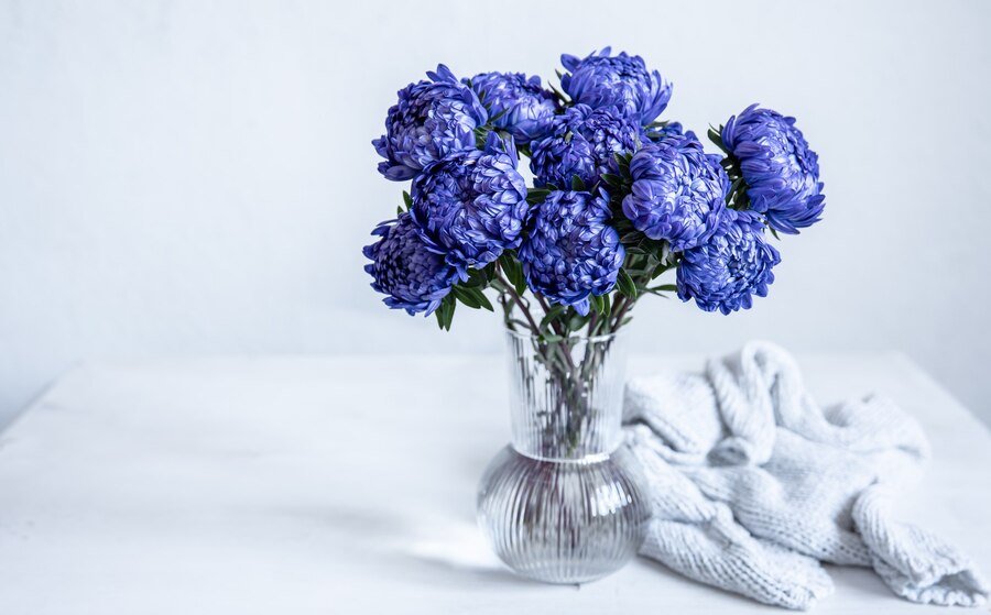 dried hydrangeas