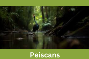 peiscans